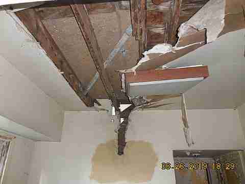 13311 Lauder (6)_m.jpg